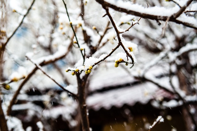 风景线